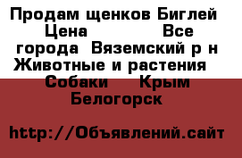 Продам щенков Биглей › Цена ­ 15 000 - Все города, Вяземский р-н Животные и растения » Собаки   . Крым,Белогорск